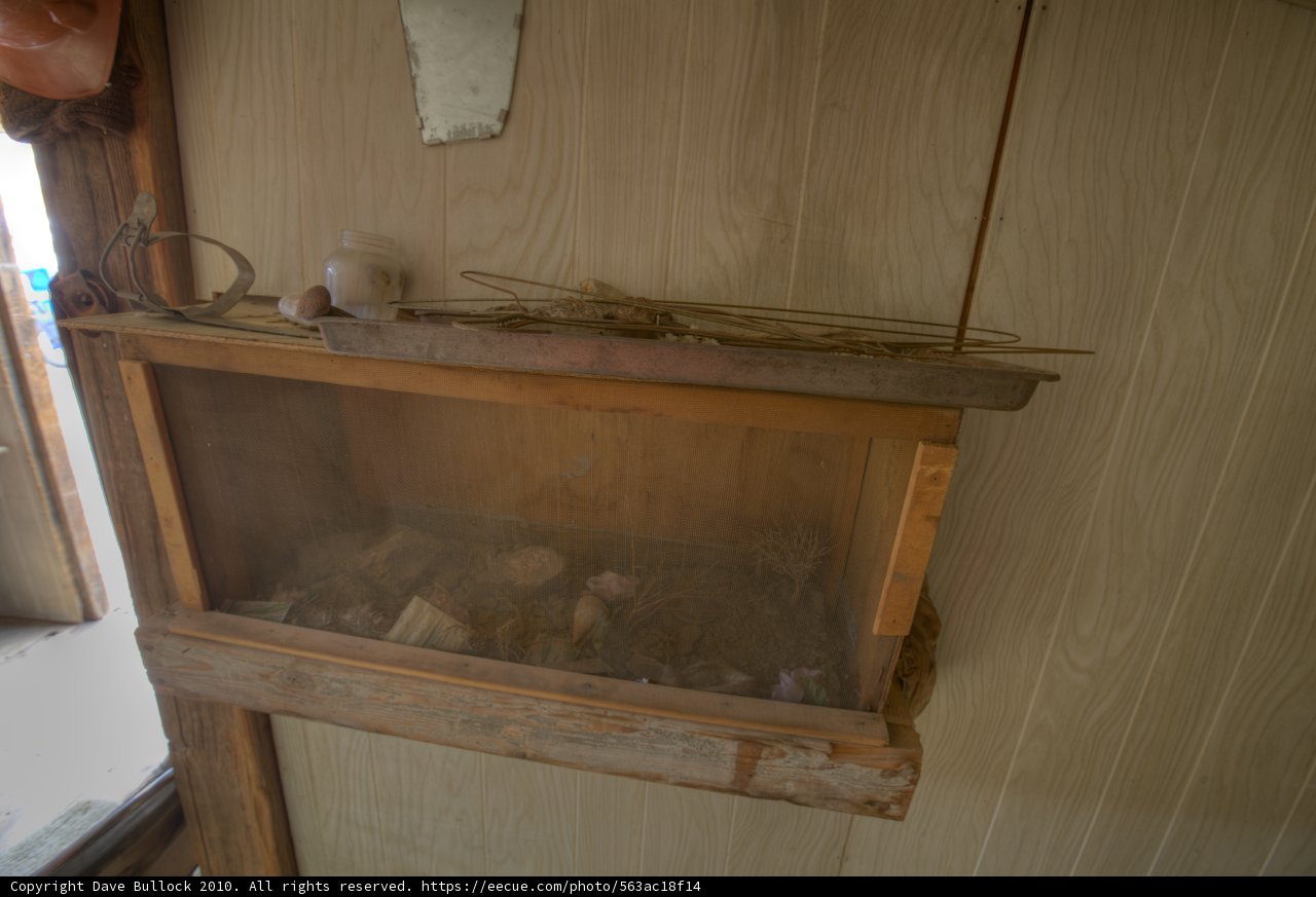 A bird in a box