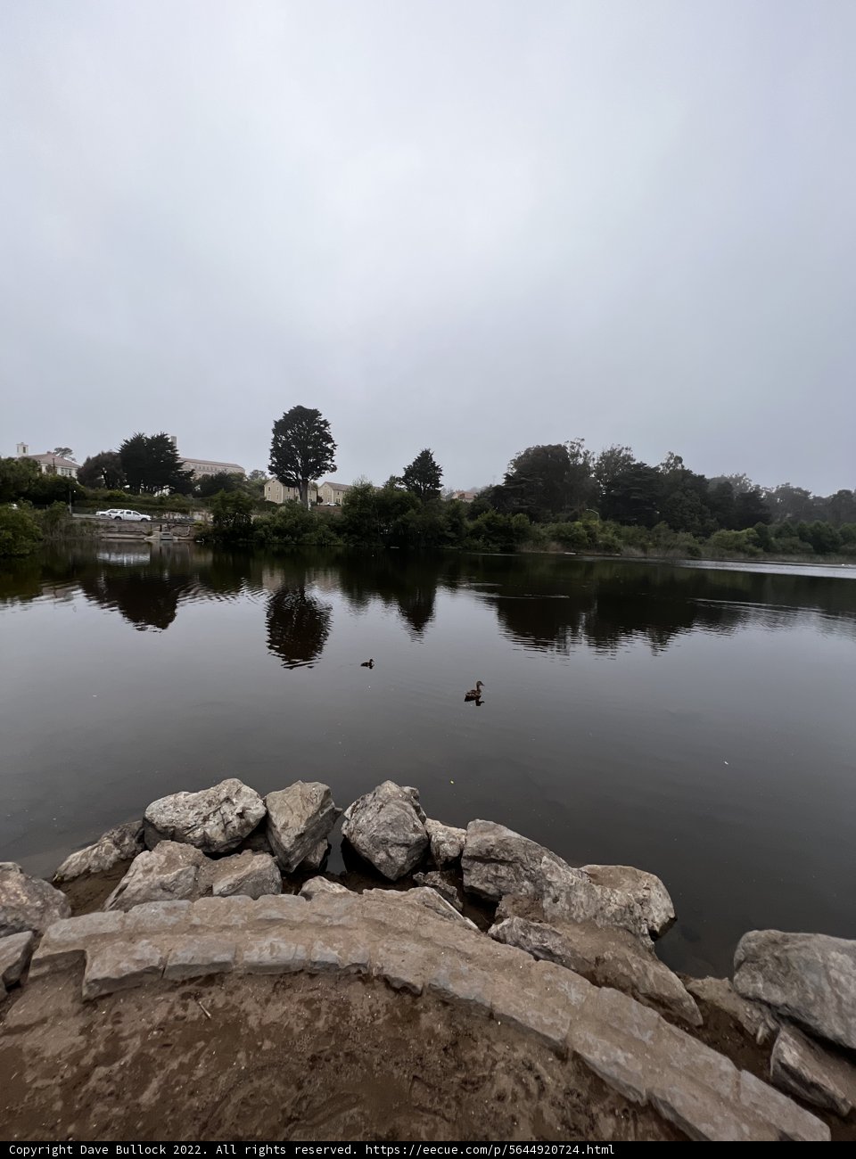 Mountain Lake Scenery