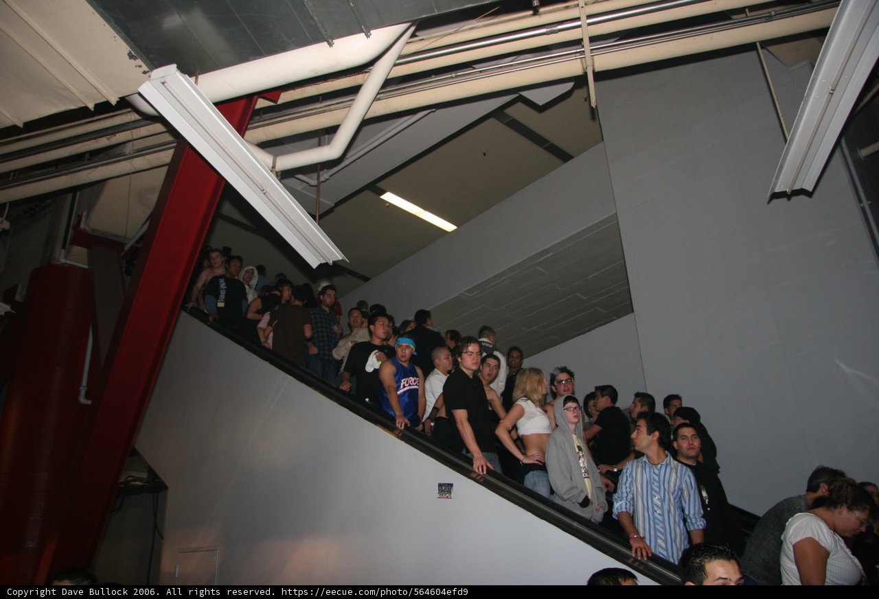 A Crowd of 31 People on a Staircase with Handrail