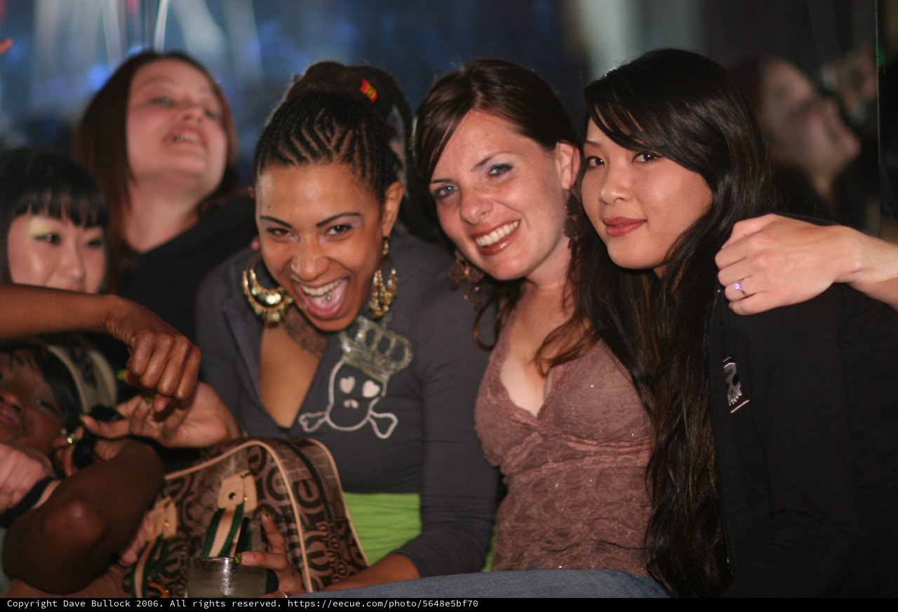 Friends Celebrating at a Nightclub Party
