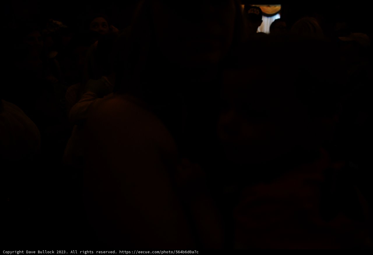 Magical Moments at Disneyland