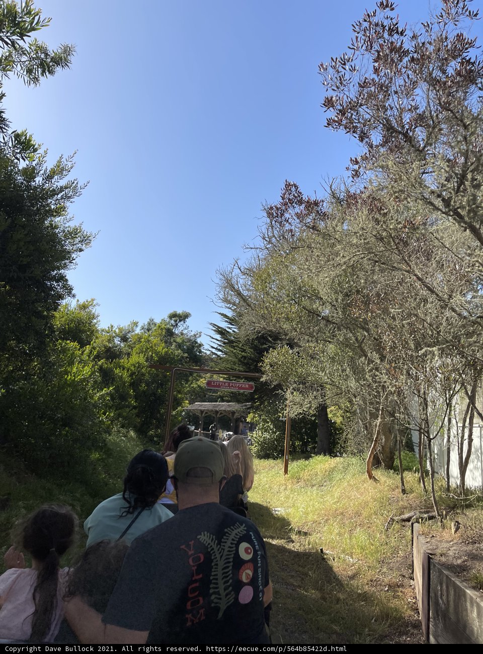 Walking Through the Wooded Area