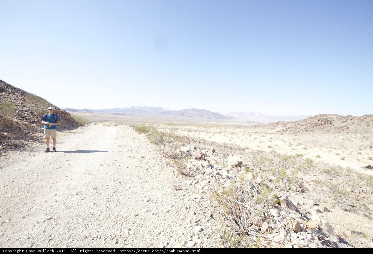 Skating Through the Desert
