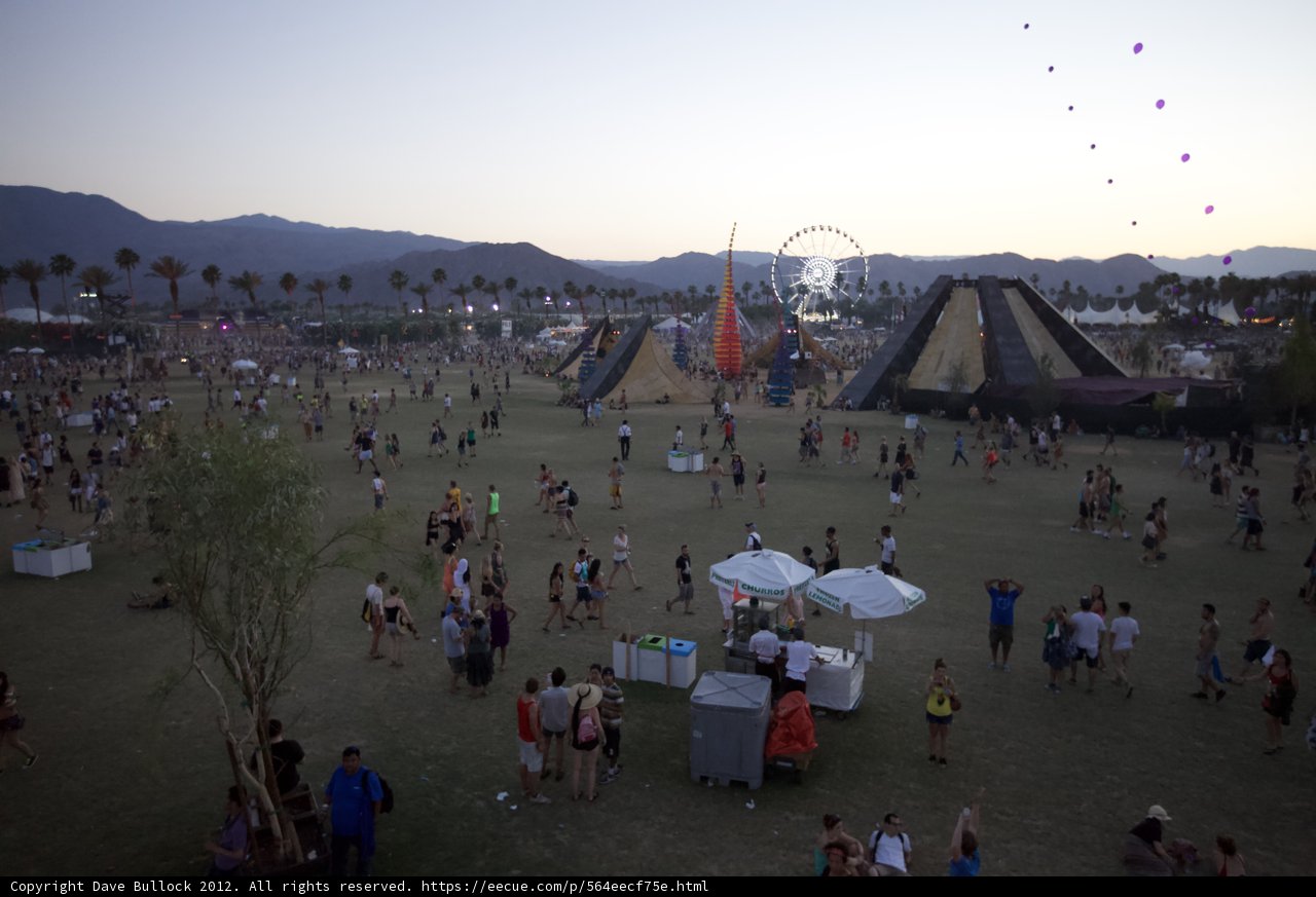 Desert Festival Fun
