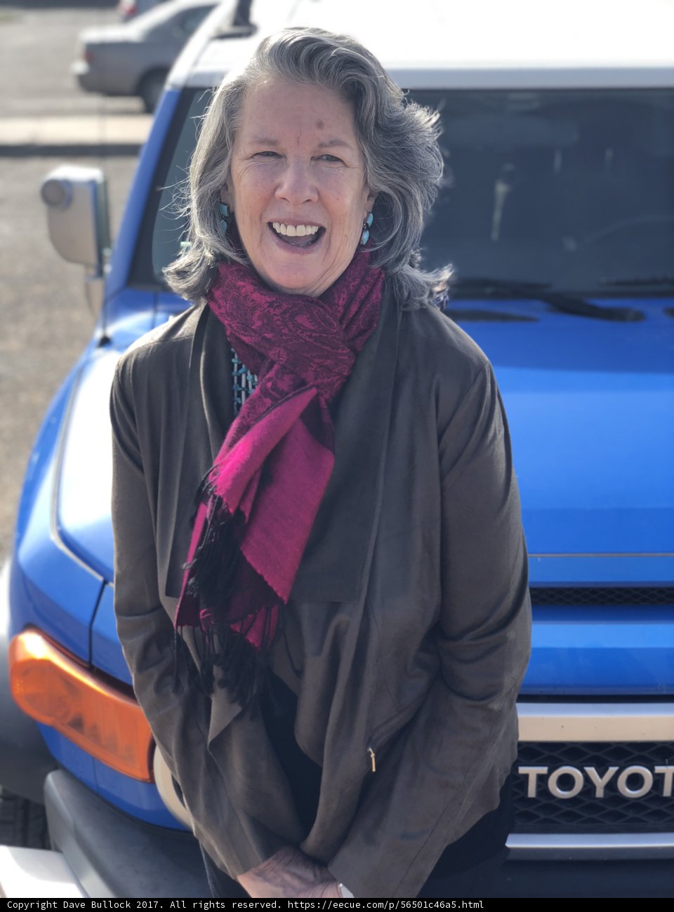 Blue Toyota Adventure