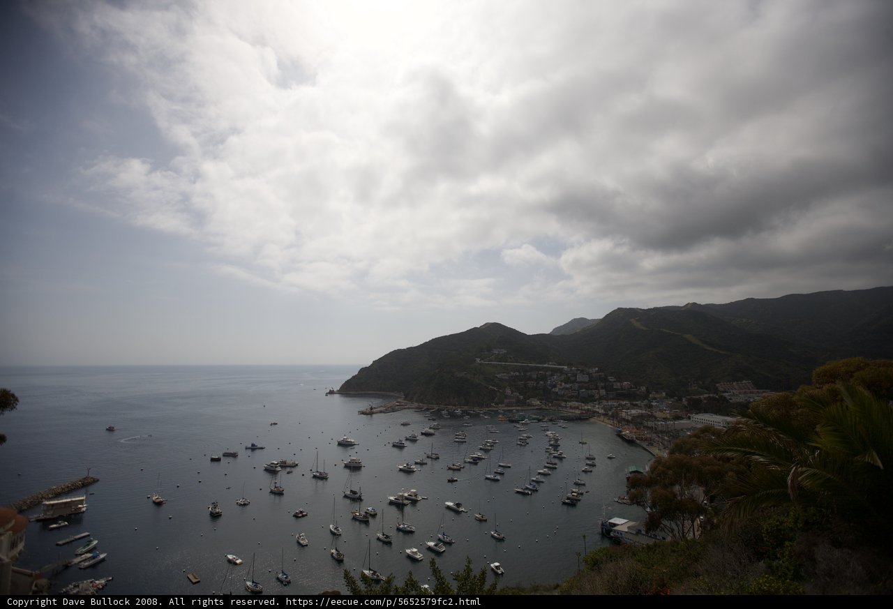 Harbor View of Catalina