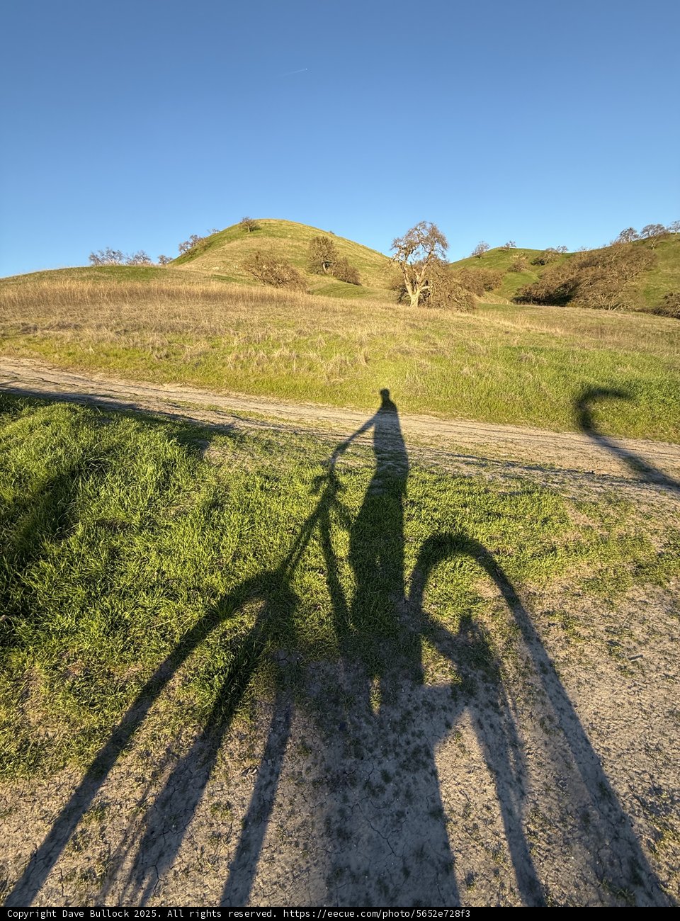 Shadowed Journey