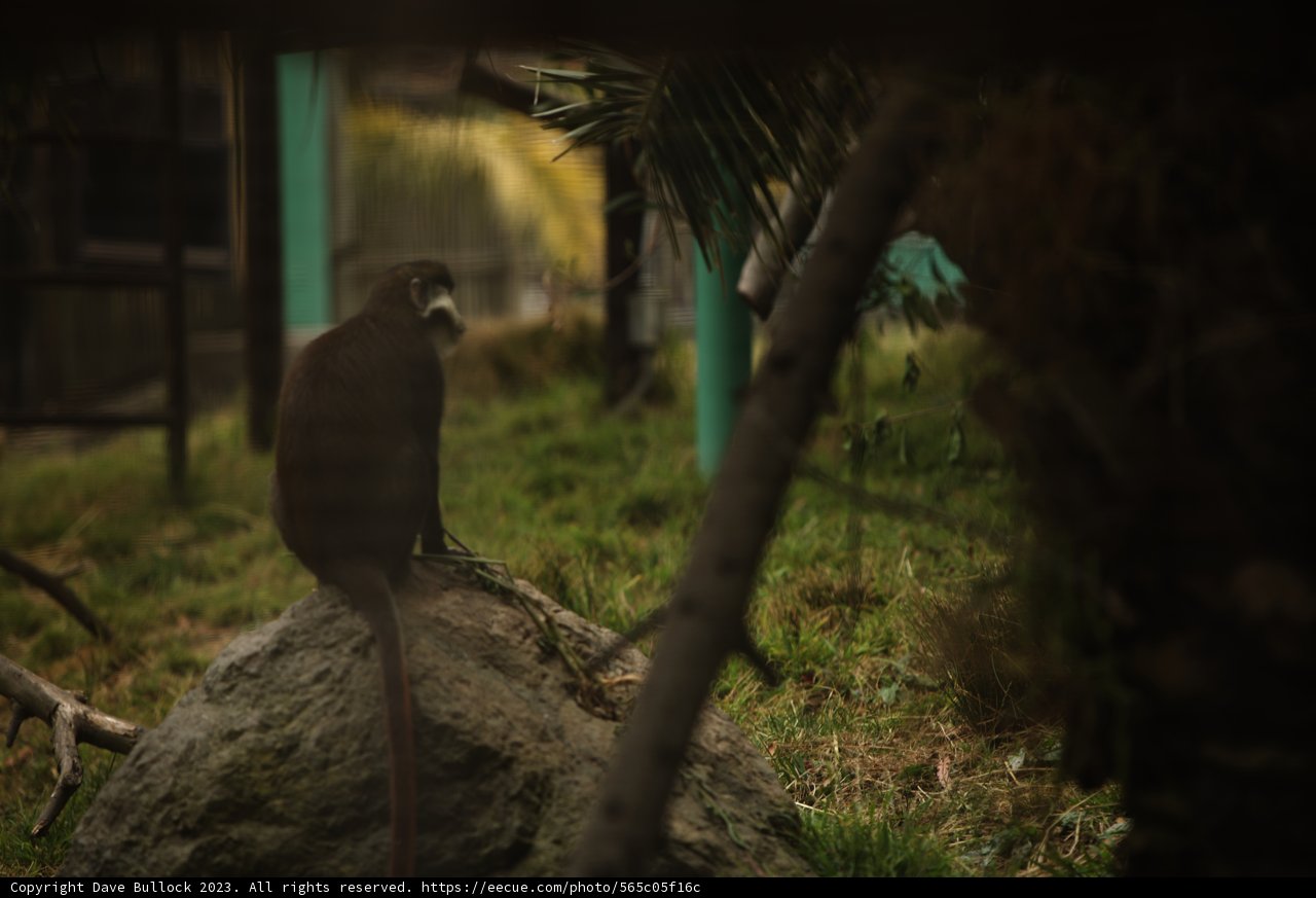 A Serene Moment at Oakland Zoo