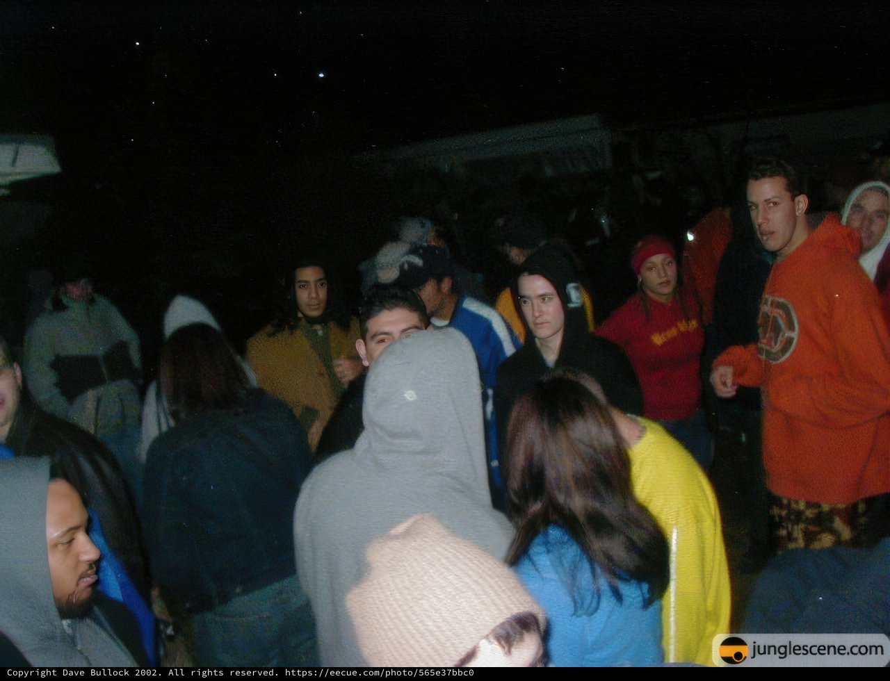 Nighttime Gathering