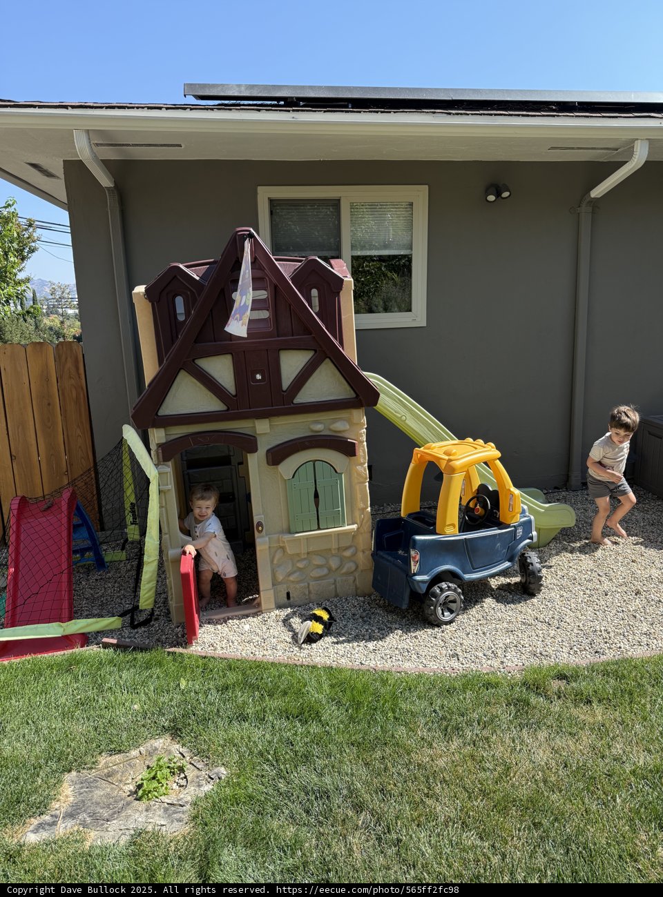 Backyard Adventures