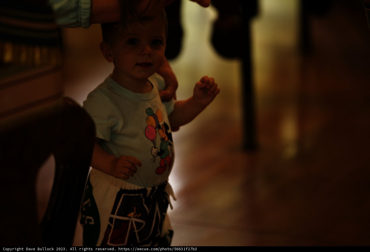 Exploring the Living Room