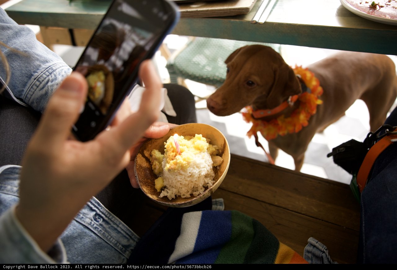 Capturing Precious Feeding Moments, Hi-Li's 5th Birthday Bash!