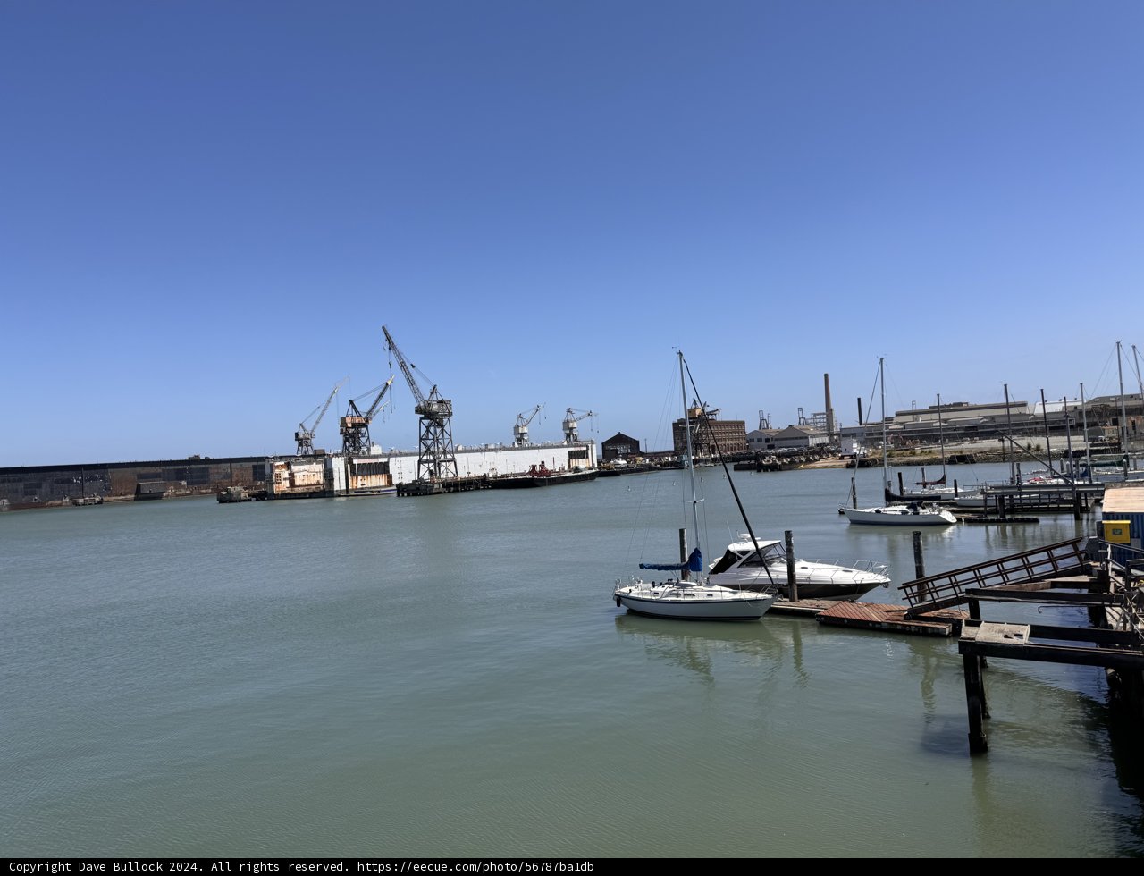 Harbor Harmony
