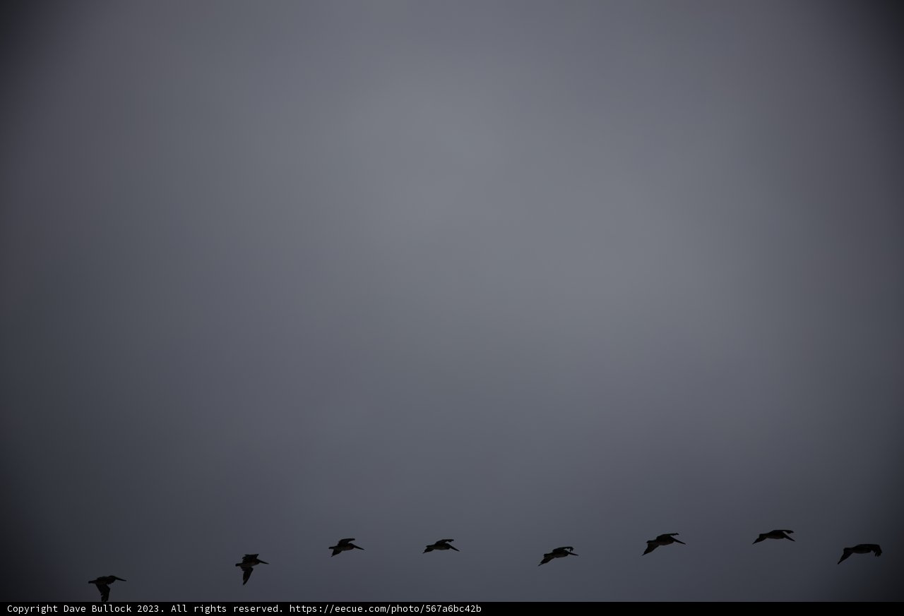 Symphony in the Sky