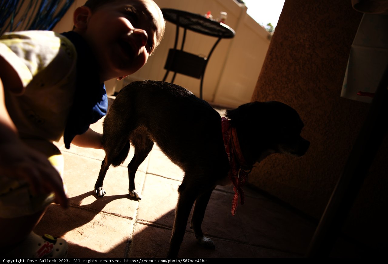 A Boy and His Best Friend