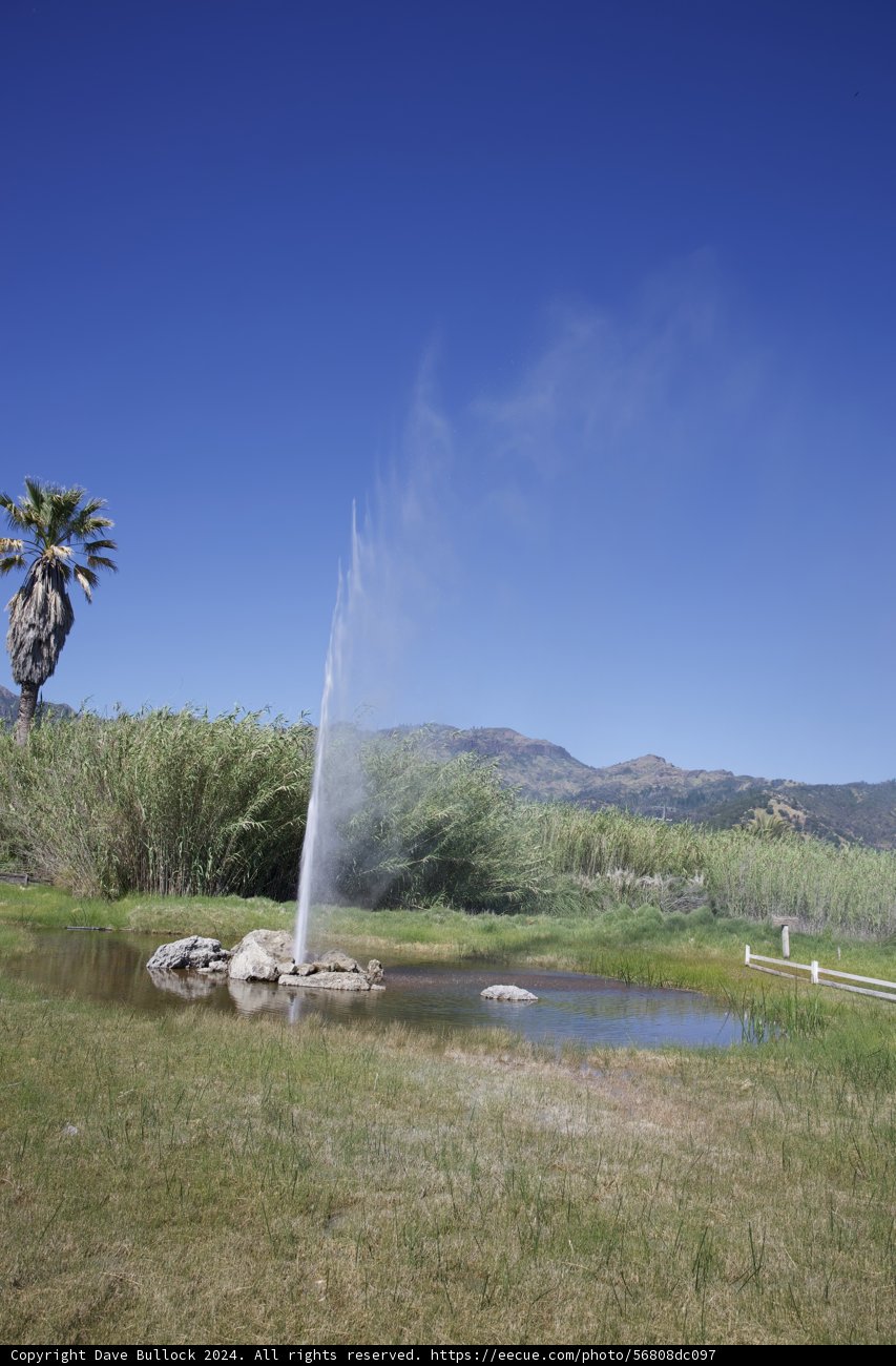 Majestic Old Faithful Geyser of Calistoga