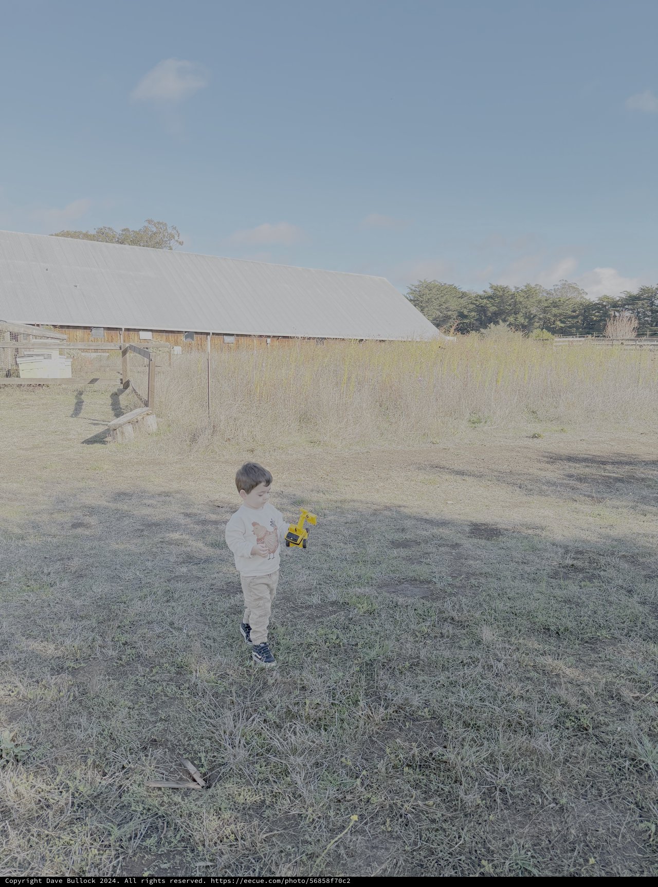 Child Playing with Yellow Toy in Rural Field