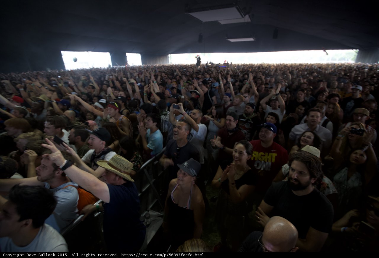 Sahara Crowd Daylight