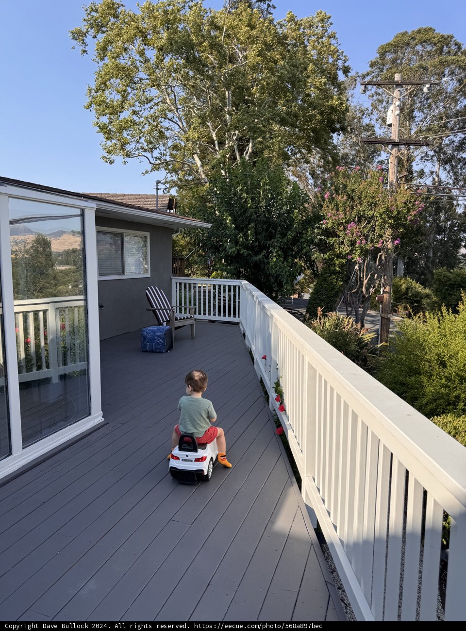 **Summer Adventures on the Deck**