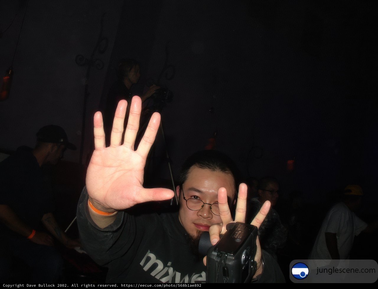 Surrendering to the Night Life