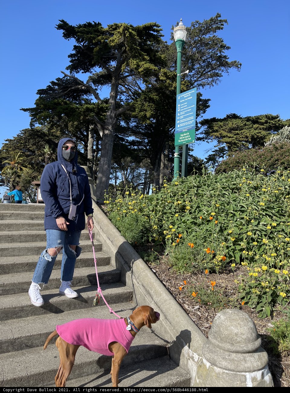 A Man and His Fashionable Dog