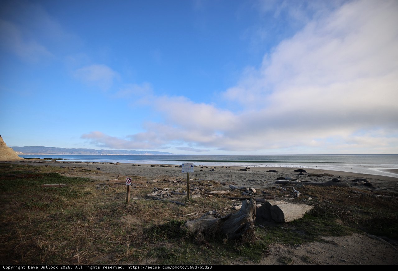 Coastal Tranquility at Drakes Beach Elephant Seal Habitat