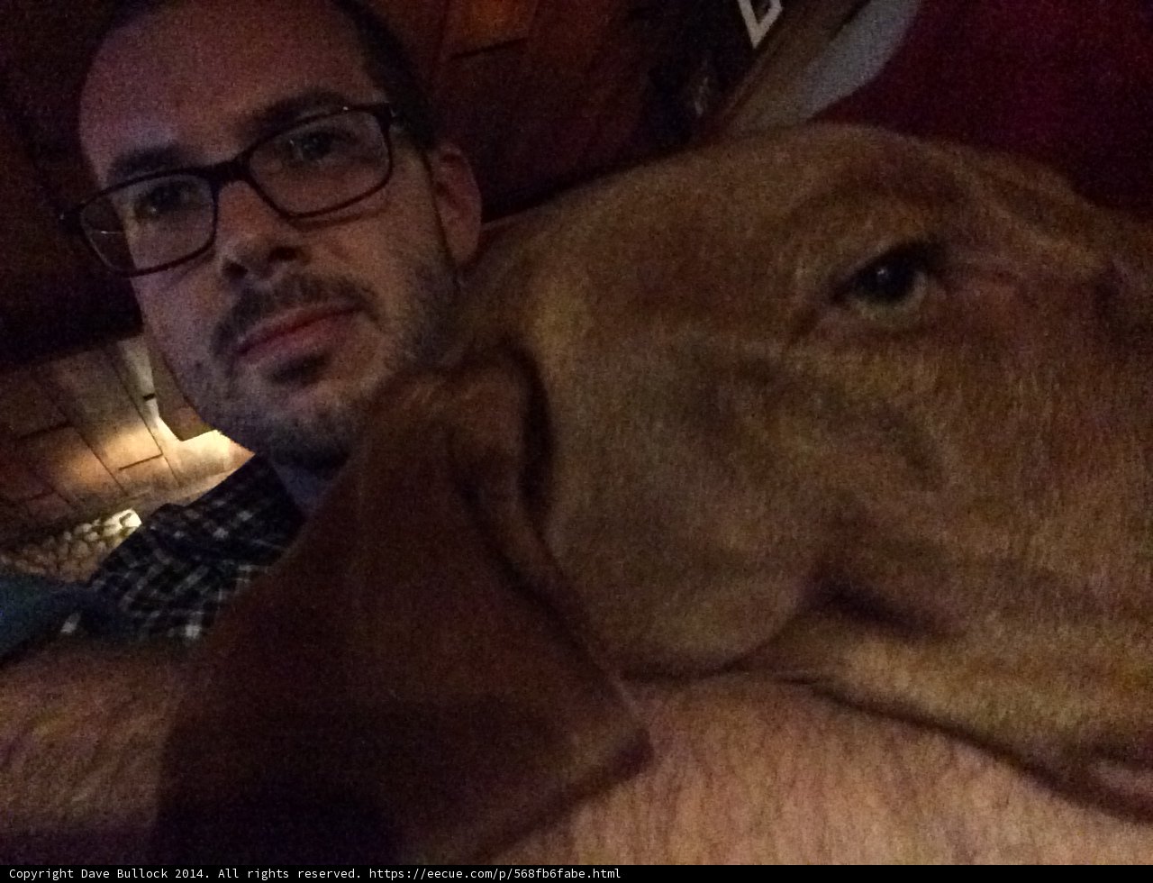 Man and Hound