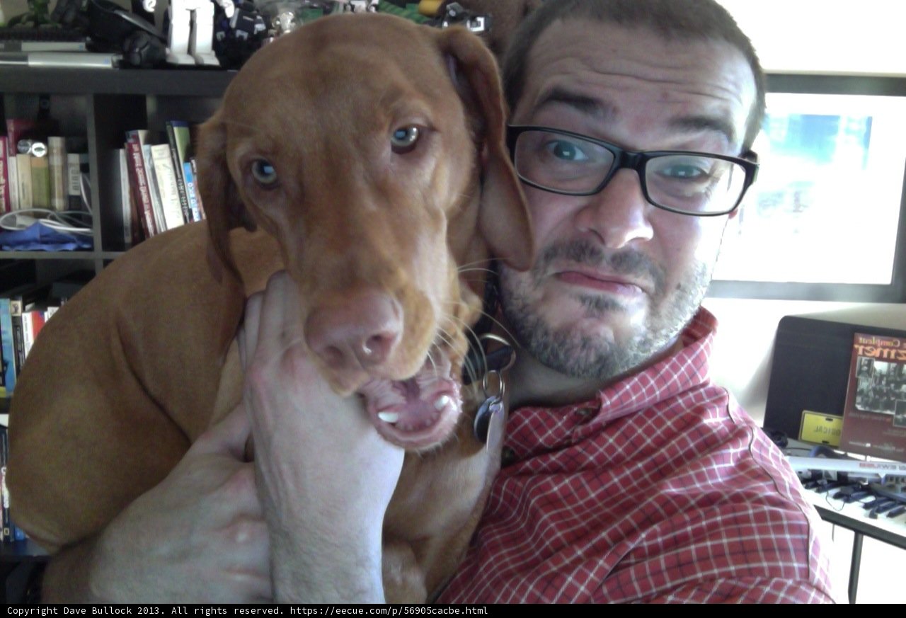 Man and his Canine Companion