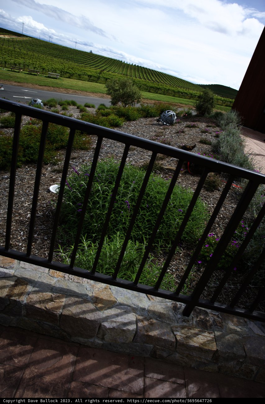 Serenity at Bouchaine Vineyards