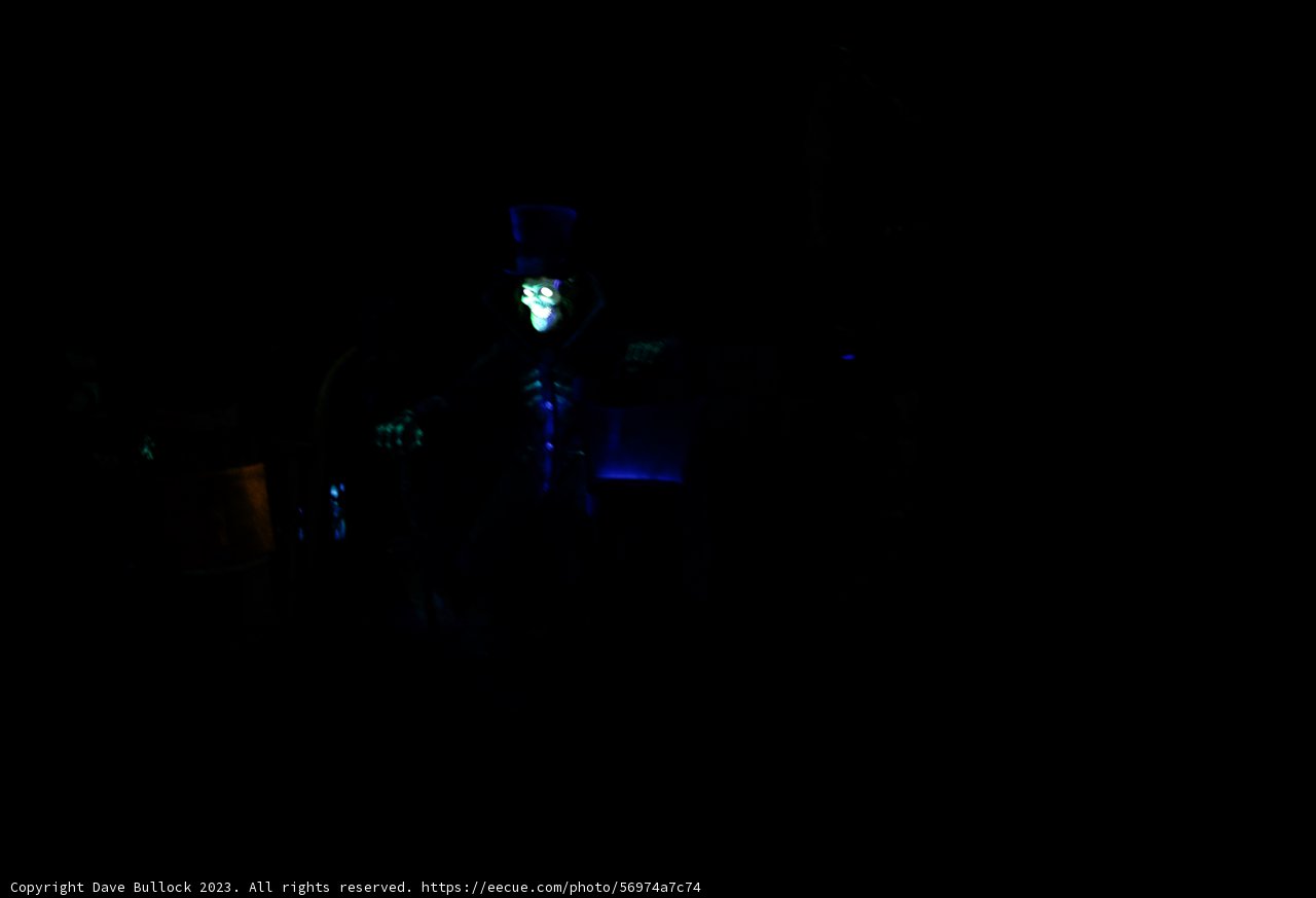 Mysterious Performer at Disneyland