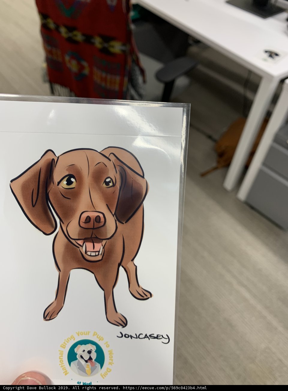 Puppy Prescription