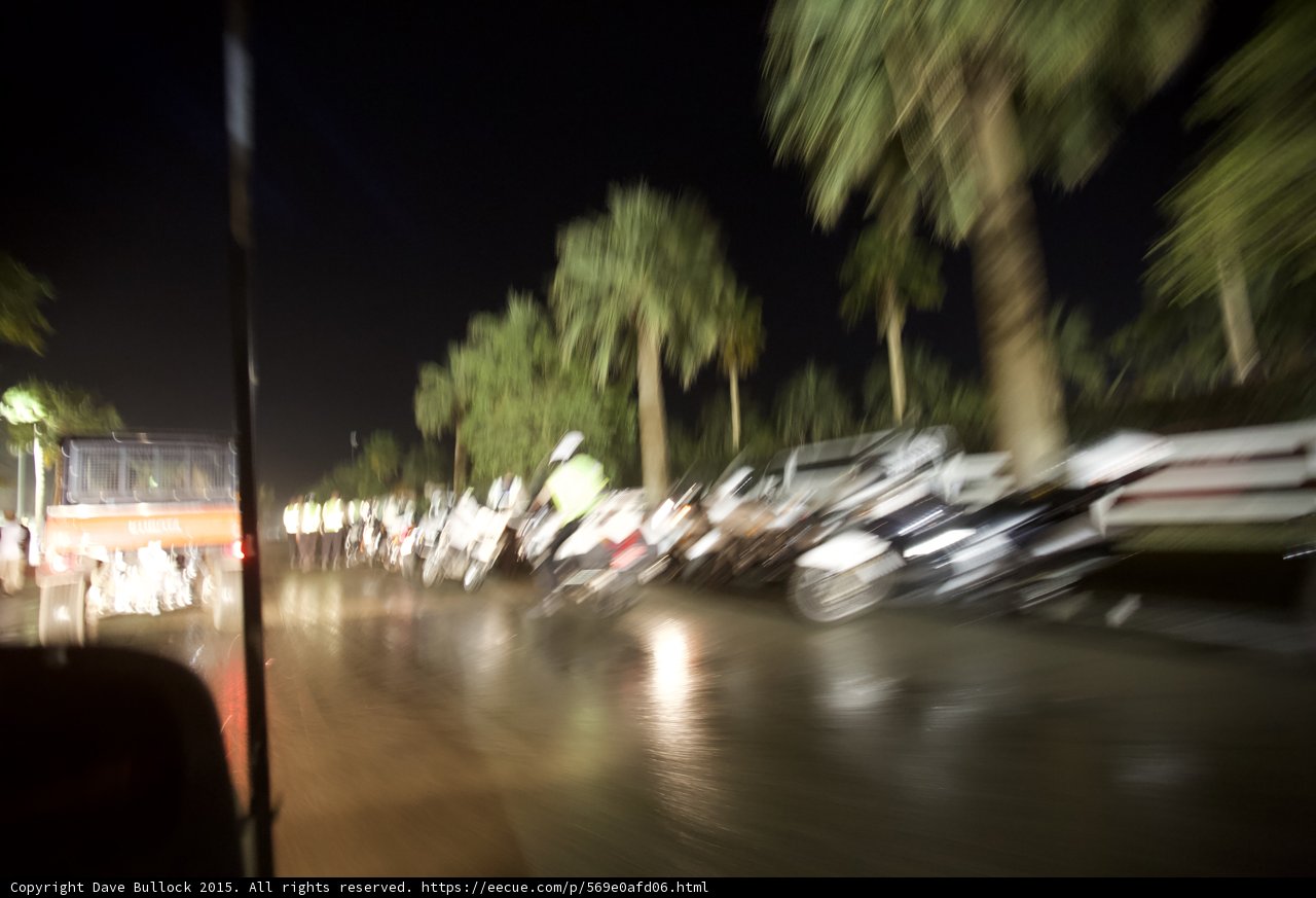 Night Ride among Palm Trees