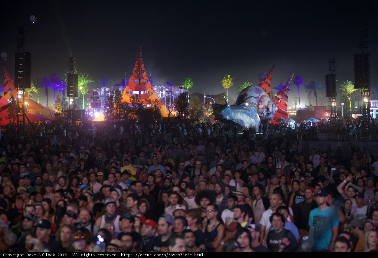 Concert Chaos Under the Night Sky