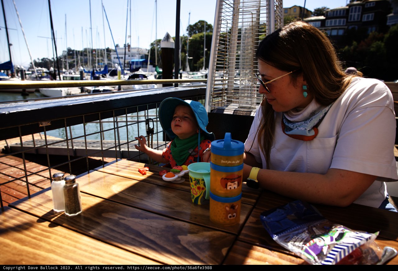 Maritime Moments: Unforgettable Tiburon 2023