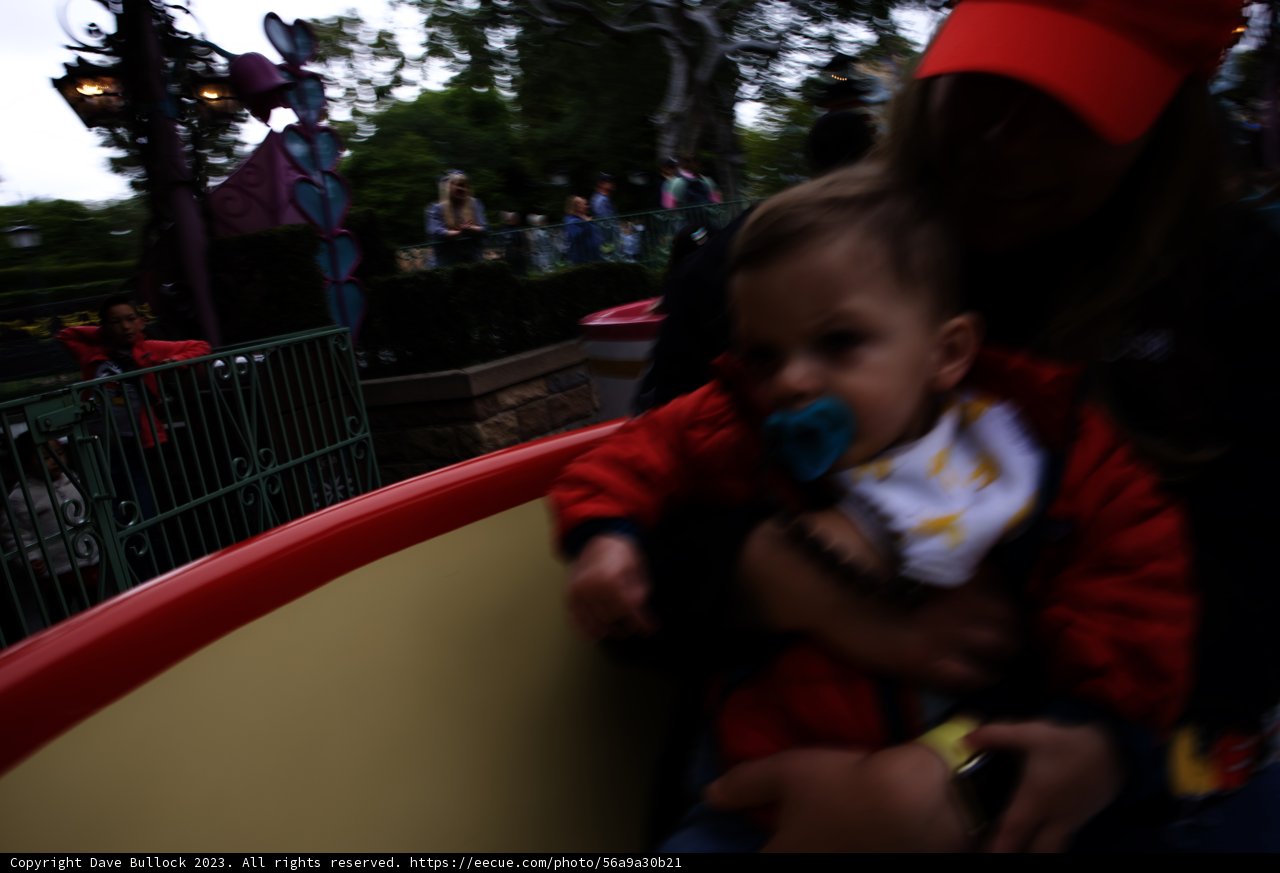 Magical Moments at Disneyland