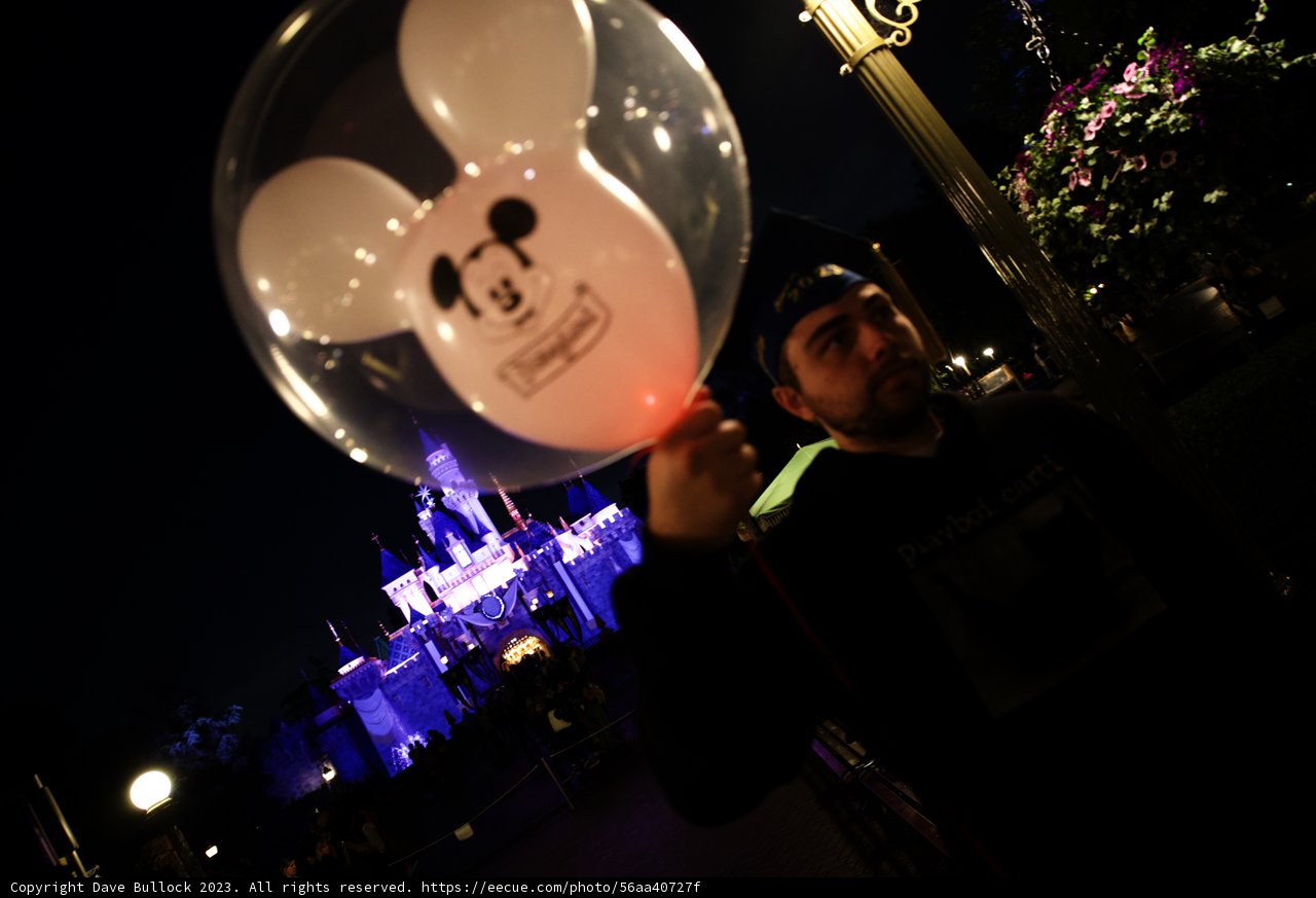 Magical Mickey Night
