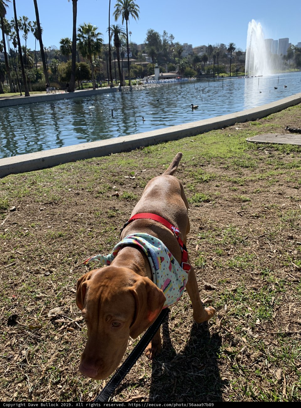 Summer by the Water