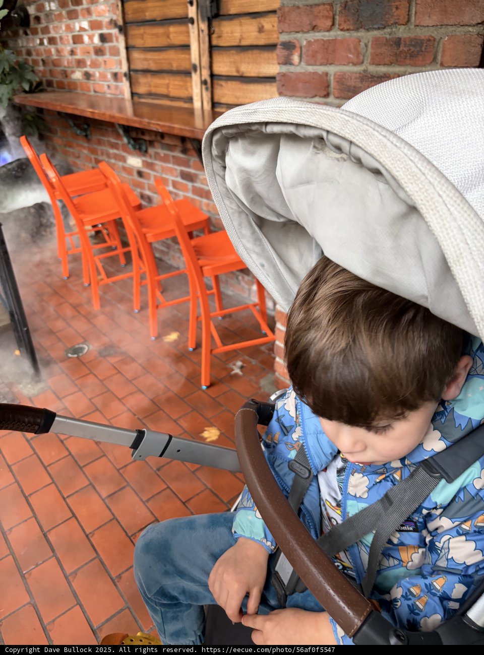 Cozy Afternoon at Plaza Escuela