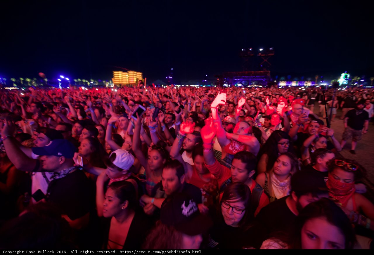 Hands Up in the Night Sky
