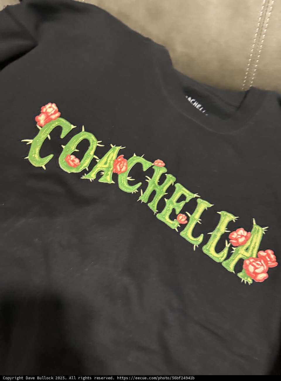 Festival Fashion Find
