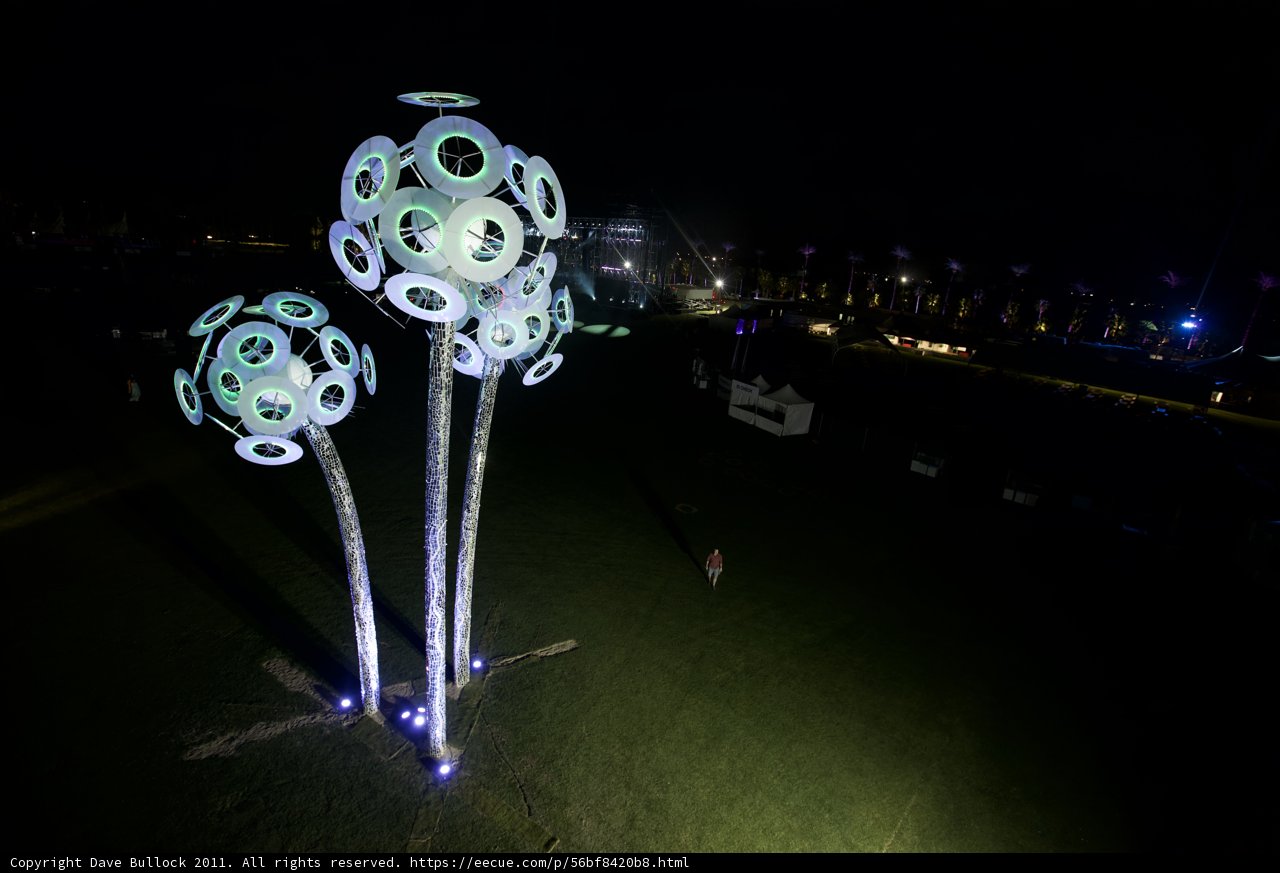 Blossoming Nightscapes