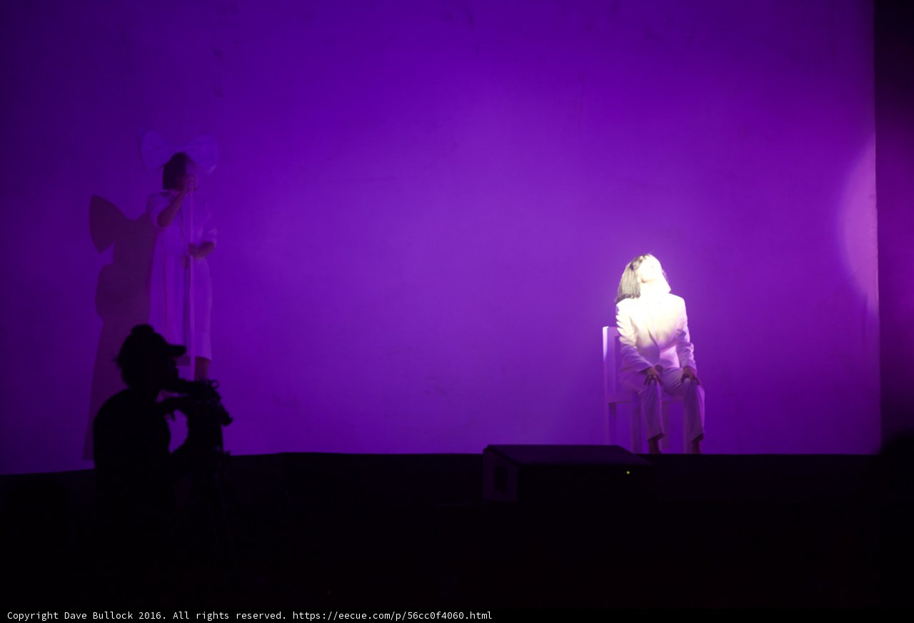 Purple Spotlight