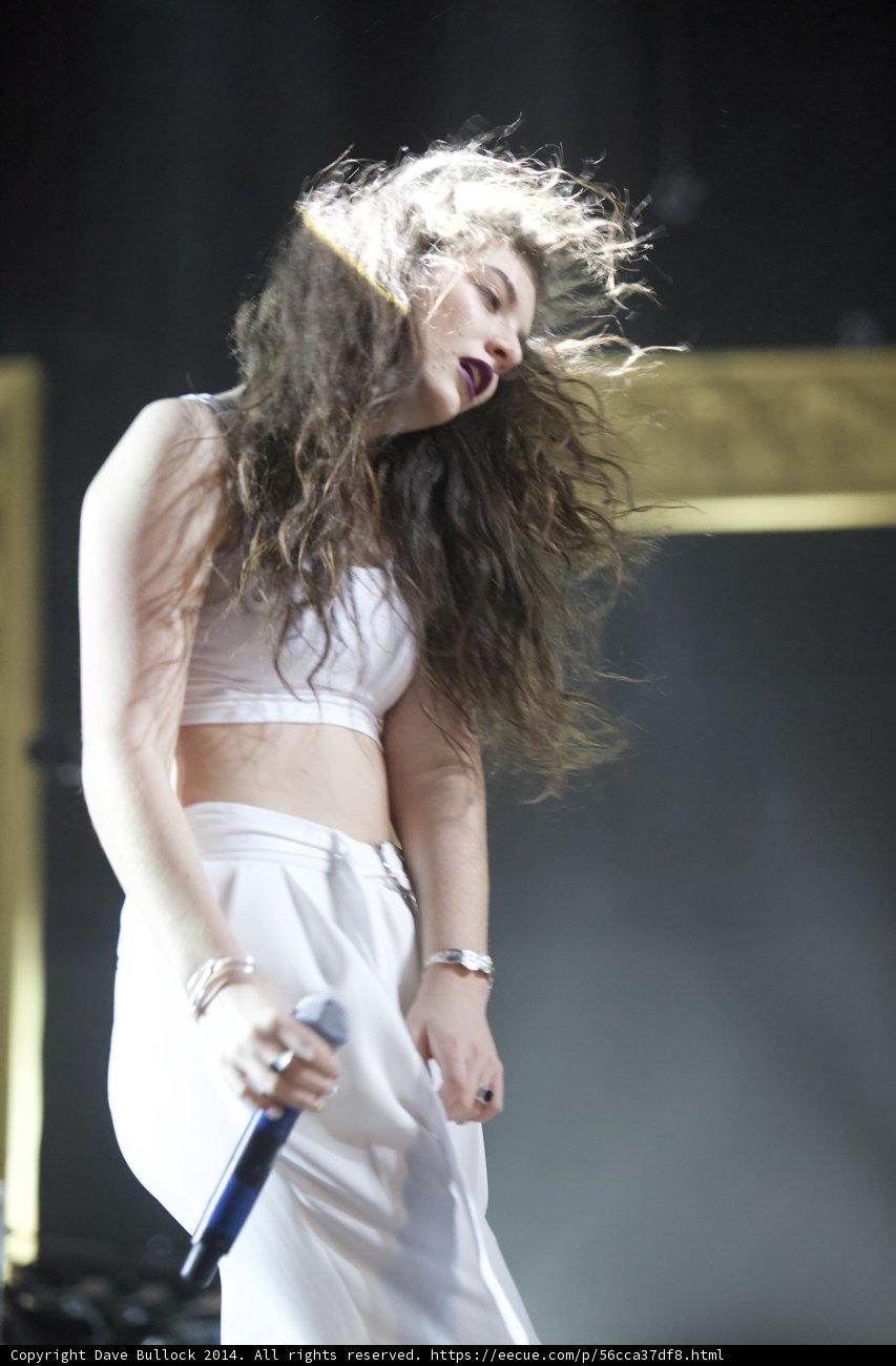Solo Performance