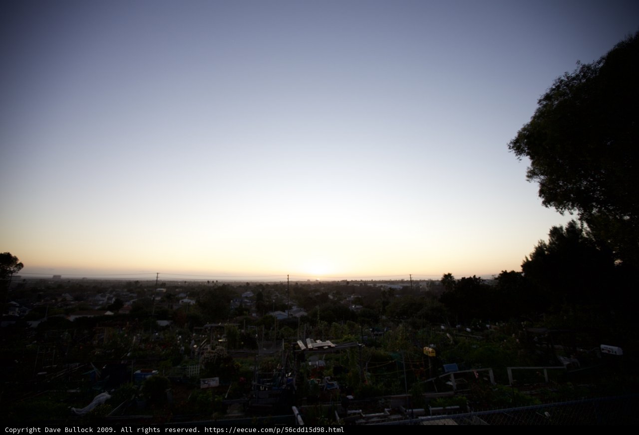 Solace in Cemetery Serenity