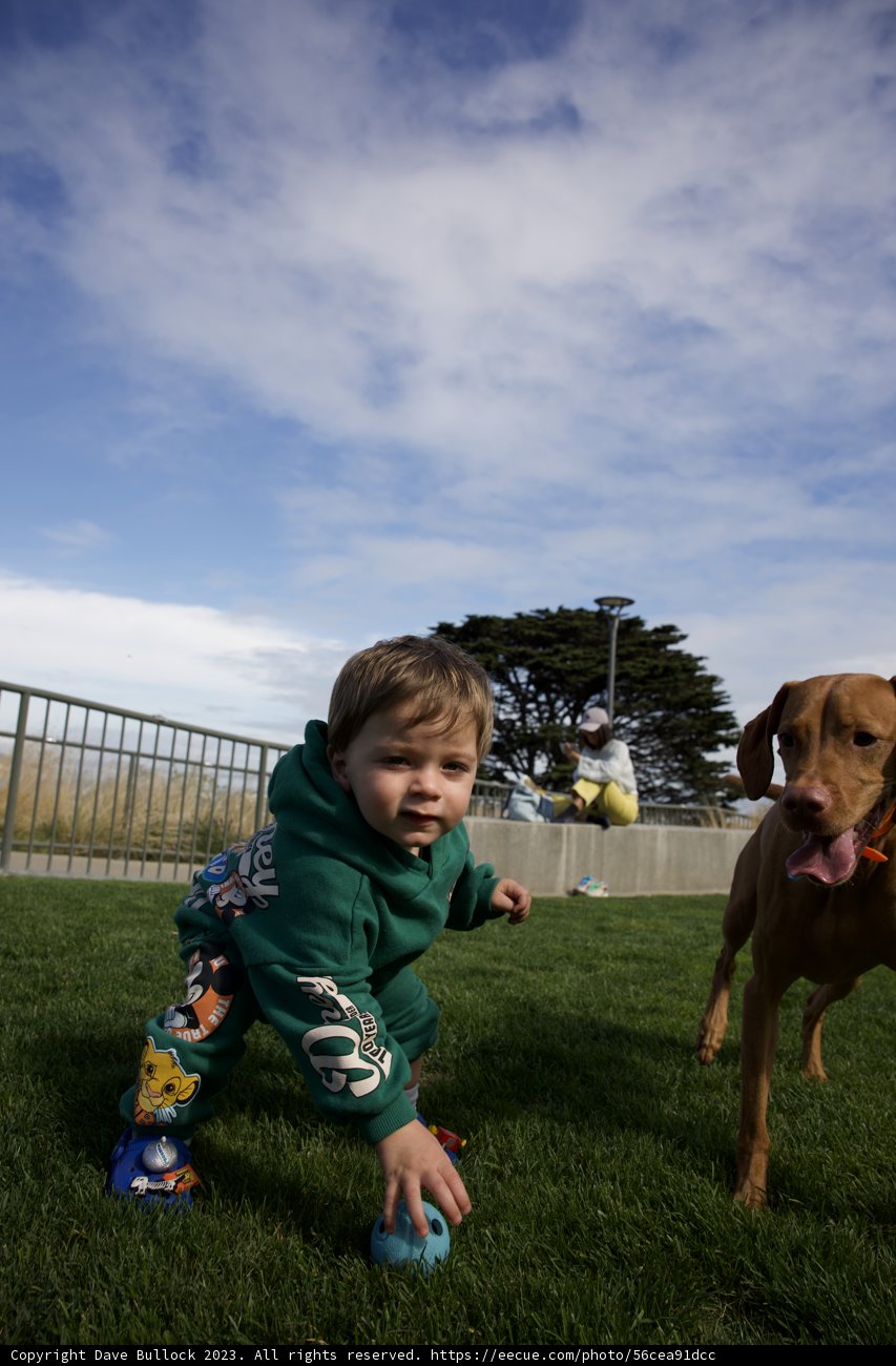 A Joyful Day at Francisco Park