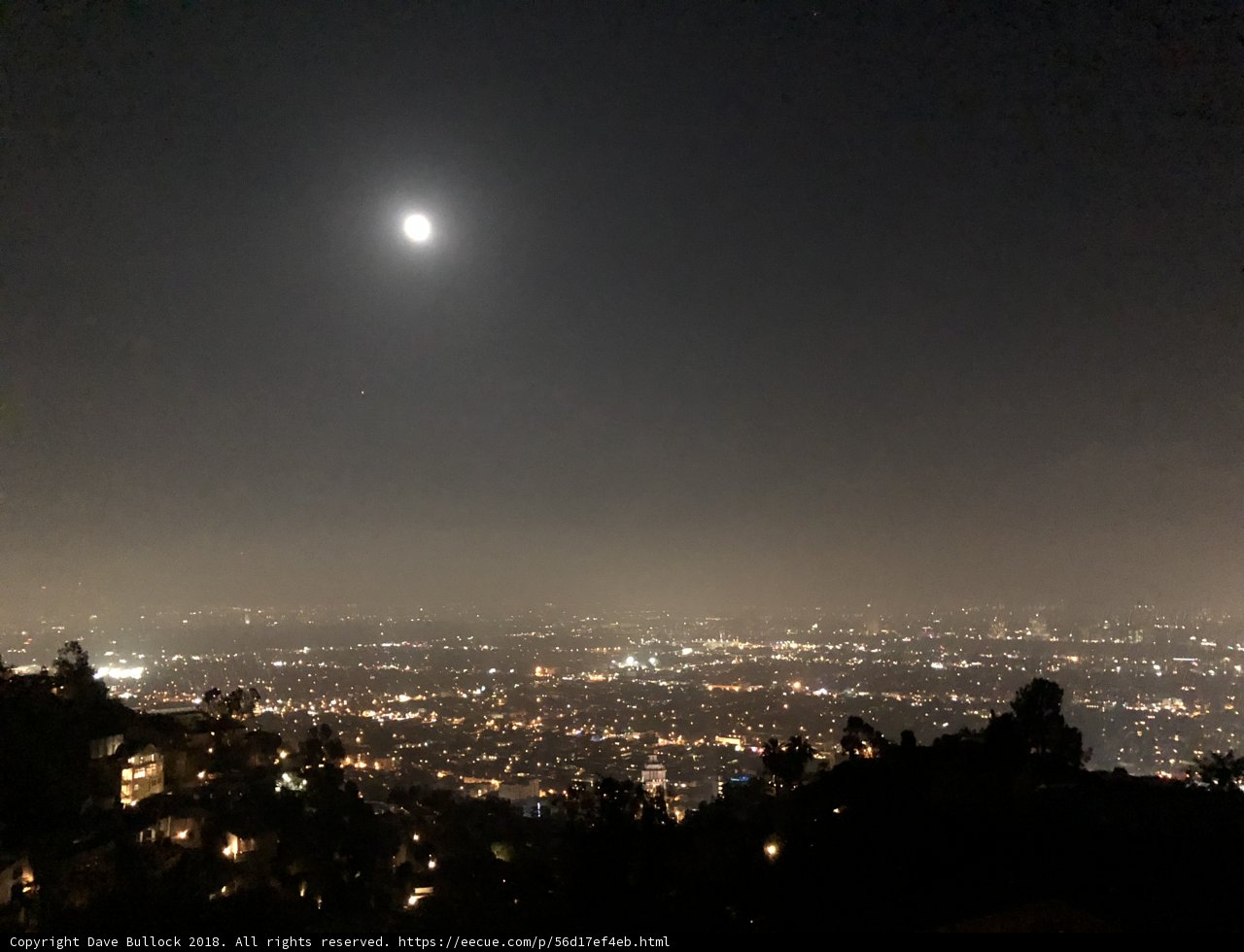 Moonlit Metropolis