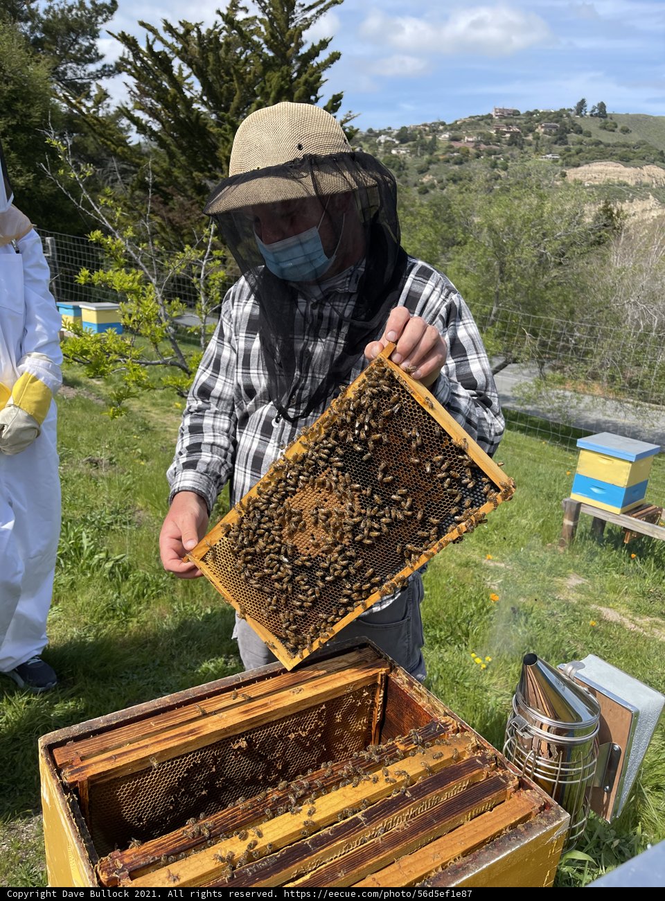 Beekeeper in the Cloudy Carmel Sky