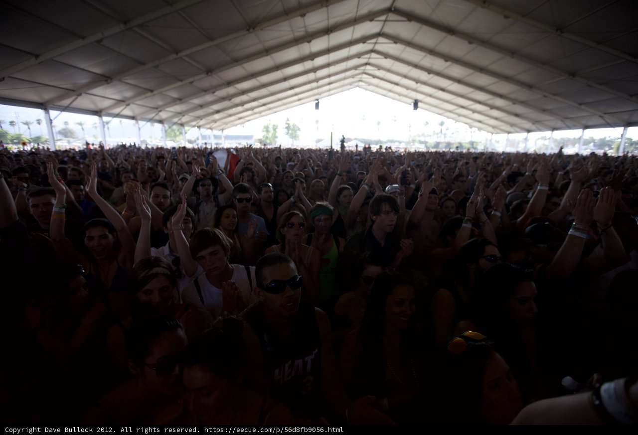 The Ultimate Festival Experience