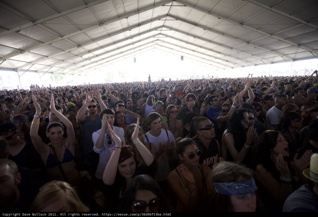 Hands Up in the Crowd