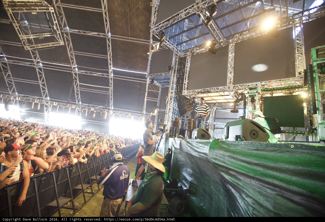 Rocking the Crowd: A Concert Scene